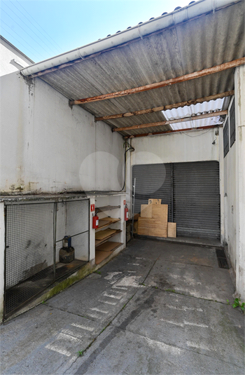 Foto REO1134708