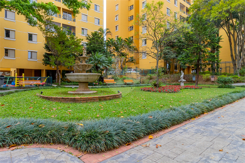 Foto REO1134713