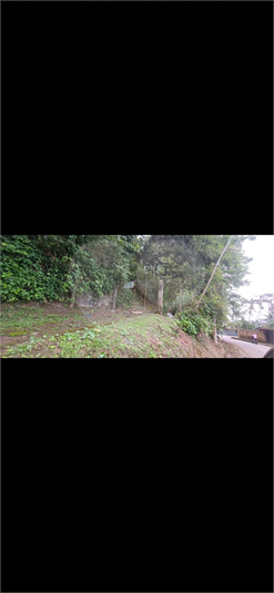 Foto REO1134715