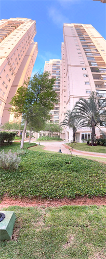 Foto REO1134734