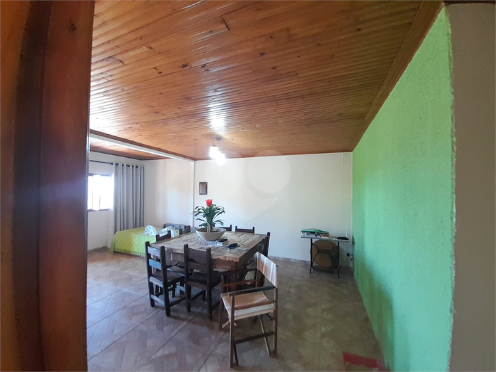 Foto REO1134738