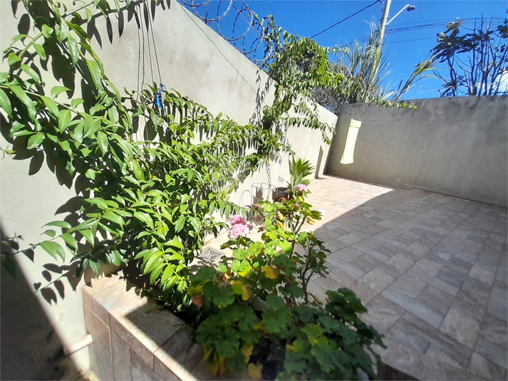 Foto REO1134738