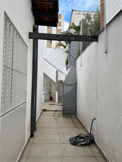 Foto REO1134778
