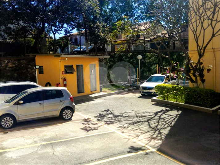 Foto REO1134786