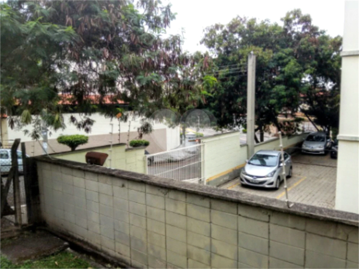 Foto REO1134786