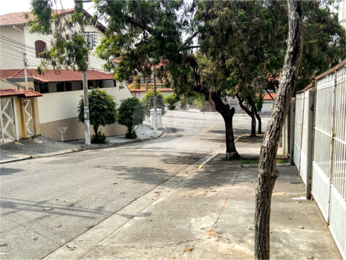 Foto REO1134786