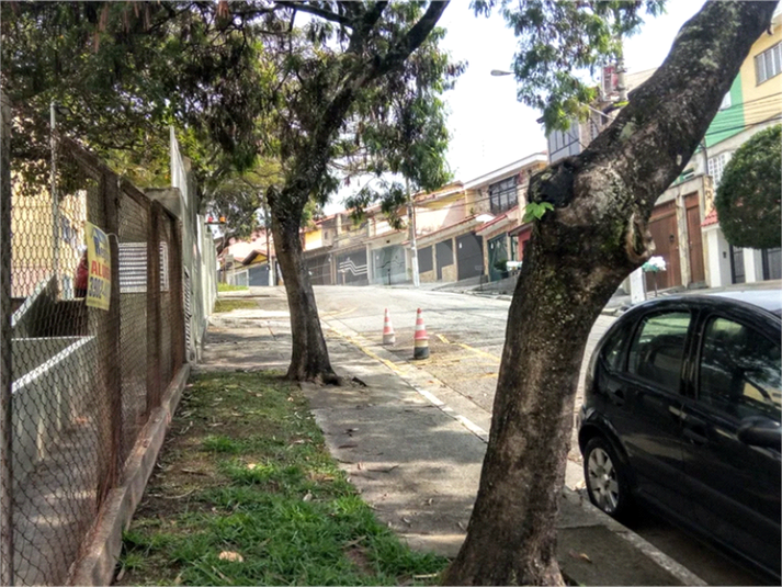 Foto REO1134786