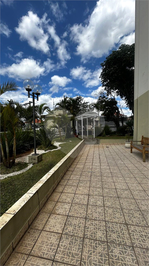 Foto REO1134810