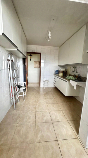Foto REO1134810