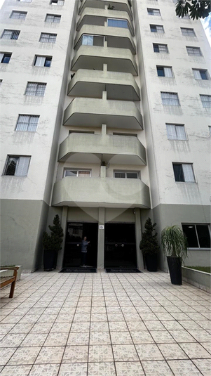 Foto REO1134810