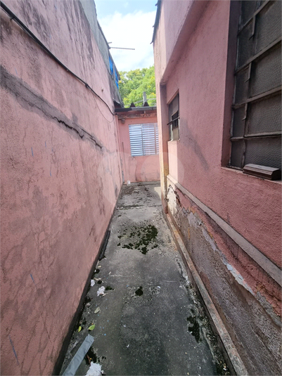 Foto REO1134812