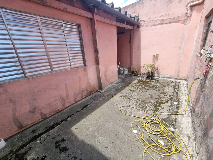 Foto REO1134812