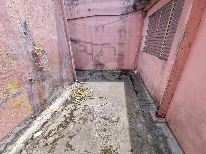 Foto REO1134814
