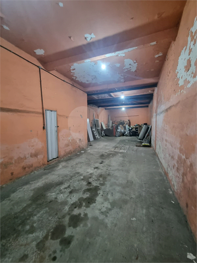 Foto REO1134814