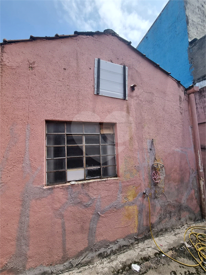 Foto REO1134814