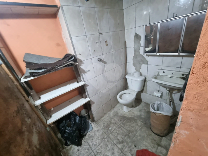 Foto REO1134814