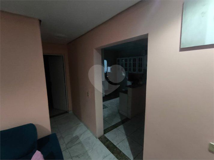 Foto REO1134836