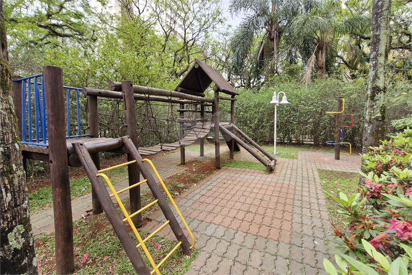 Foto REO1134845
