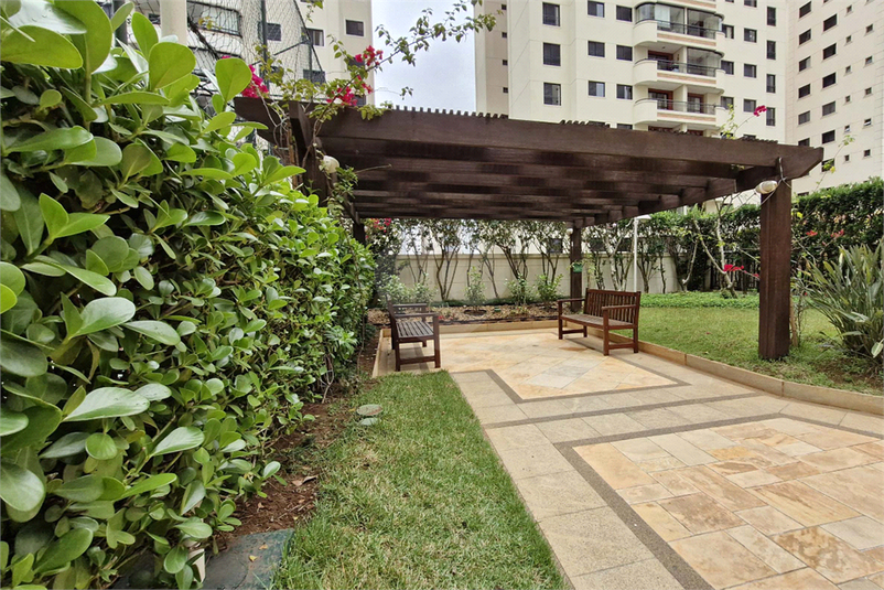 Foto REO1134845