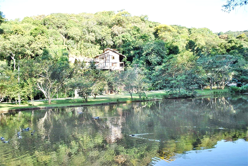 Foto REO1134854