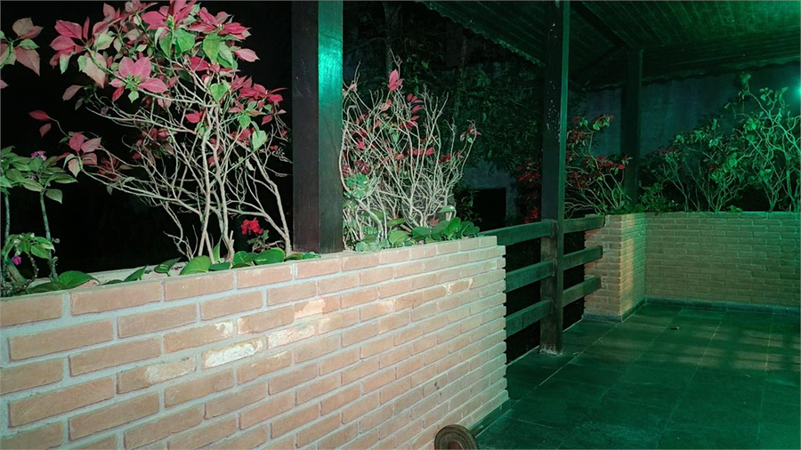 Foto REO1134854