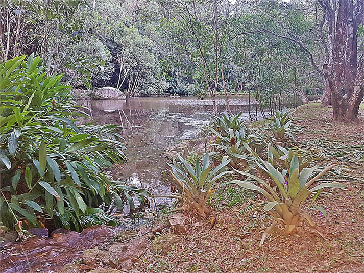 Foto REO1134854