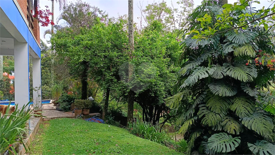 Foto REO1134854