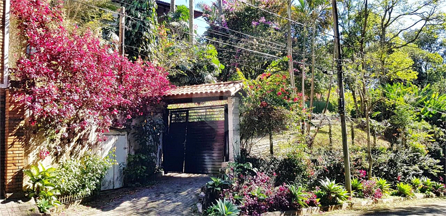 Foto REO1134854