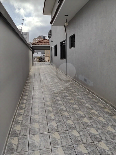 lateral 02