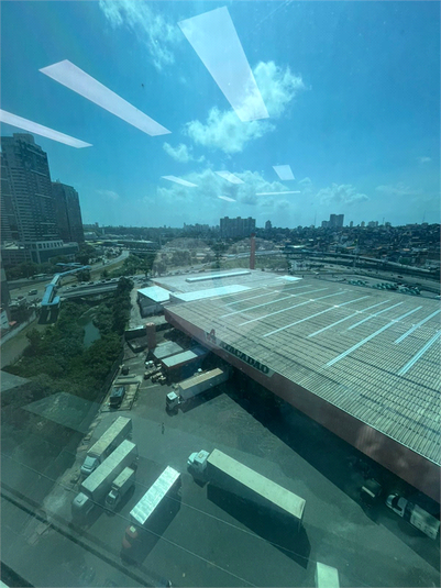 Foto REO1134867