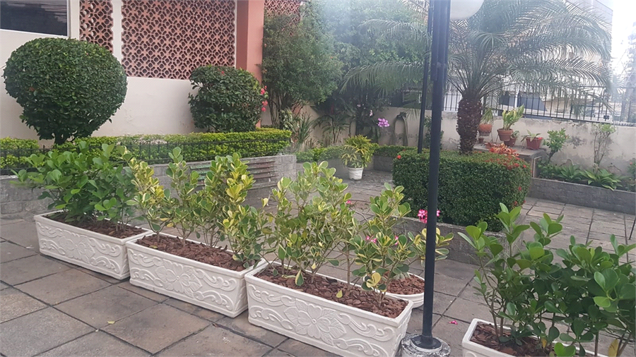 Foto REO1134873