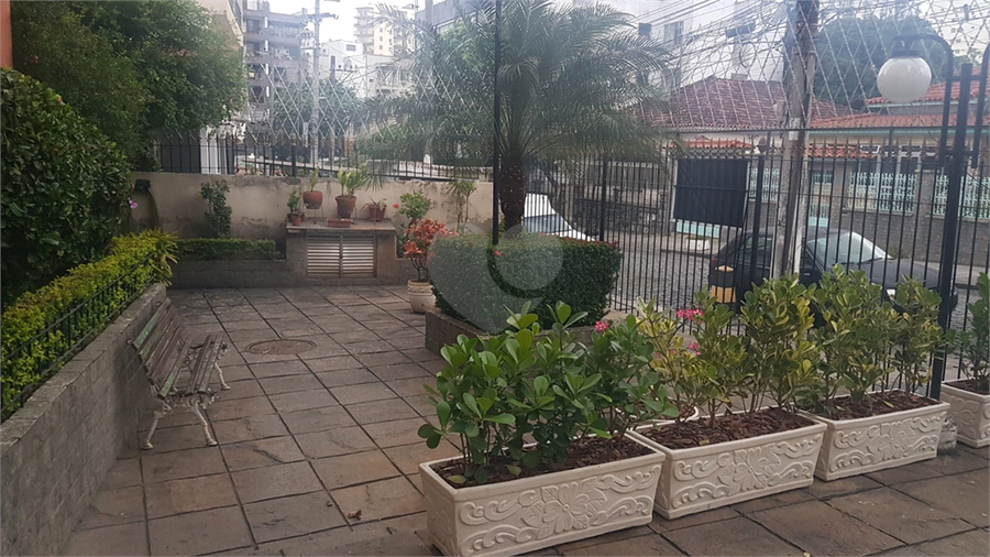 Foto REO1134873