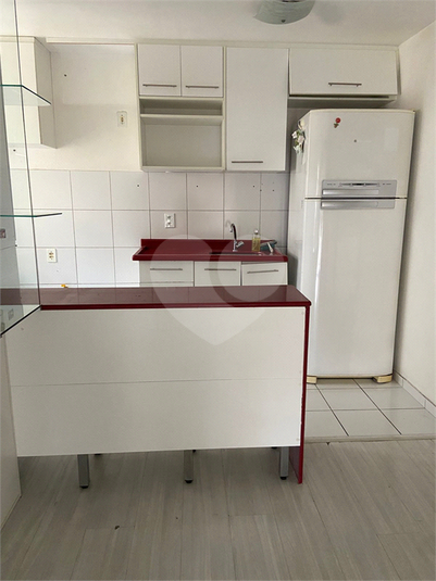 Foto REO1134876