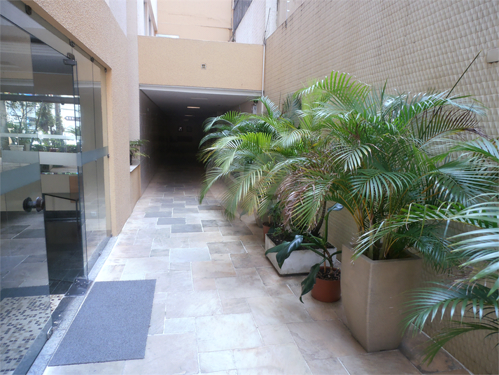 Foto REO1134880