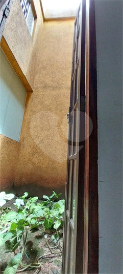 Foto REO1134882