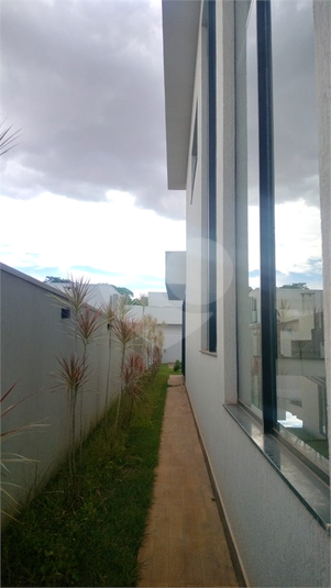 Foto REO1134884