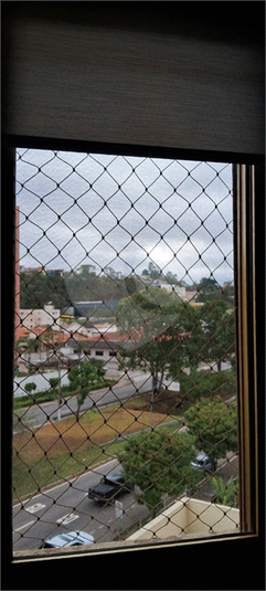 Foto REO1134886