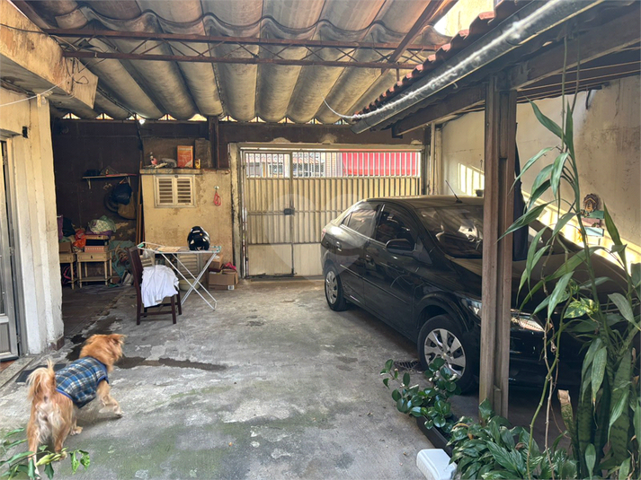 Foto REO1134891