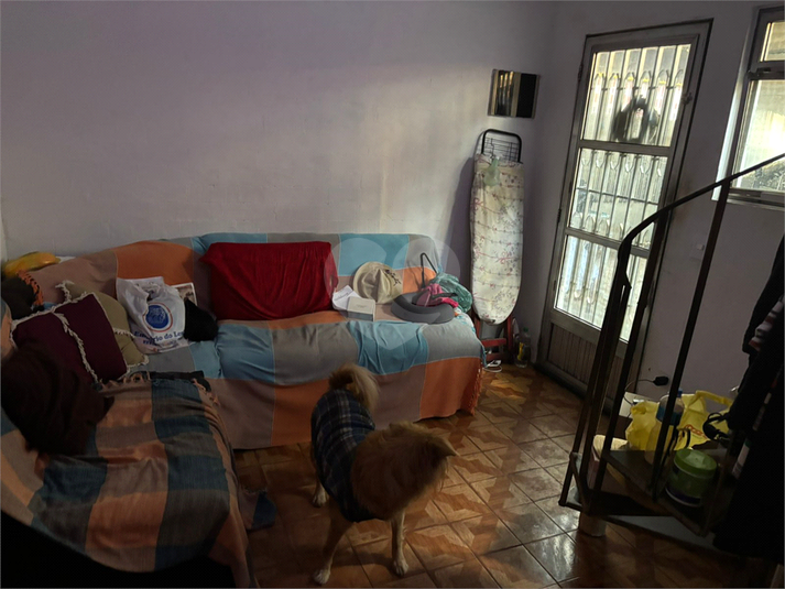 Foto REO1134891