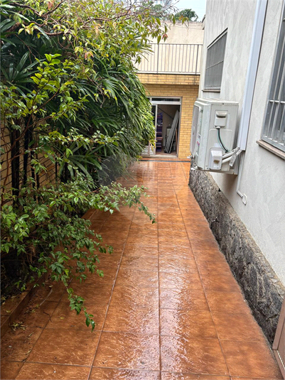 Foto REO1134907