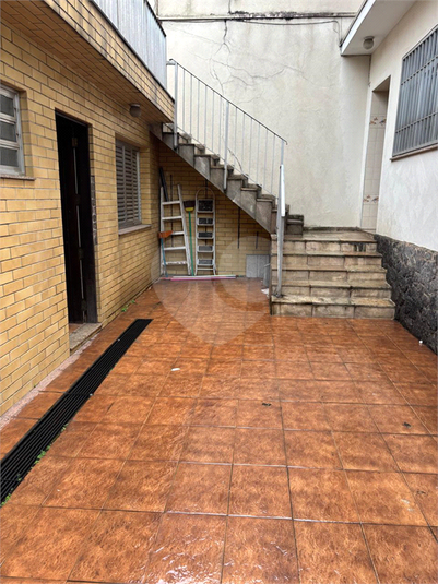 Foto REO1134907