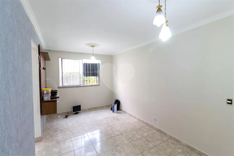 Foto REO1134909