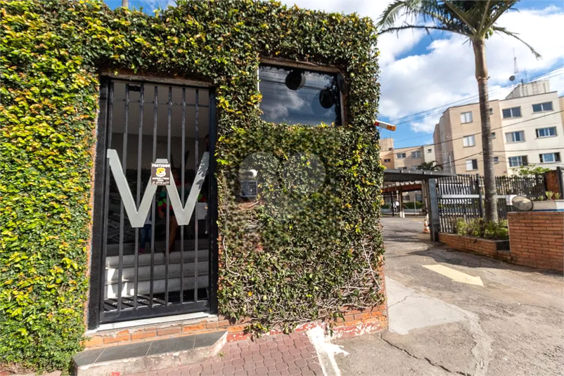 Foto REO1134909