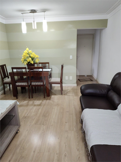 Foto REO1134935