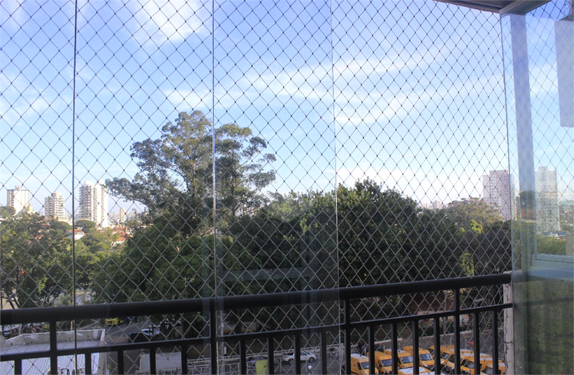 Foto REO1134941