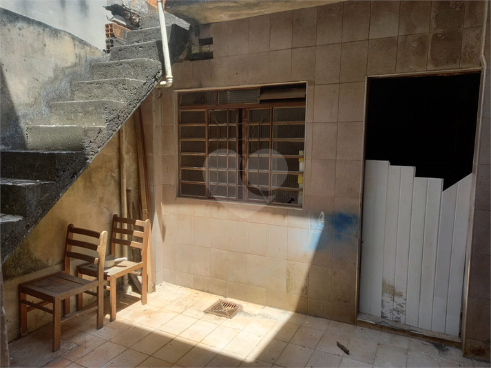 Foto REO1134955