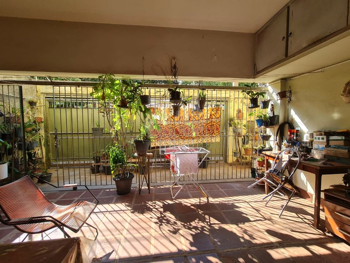 Foto REO1134987