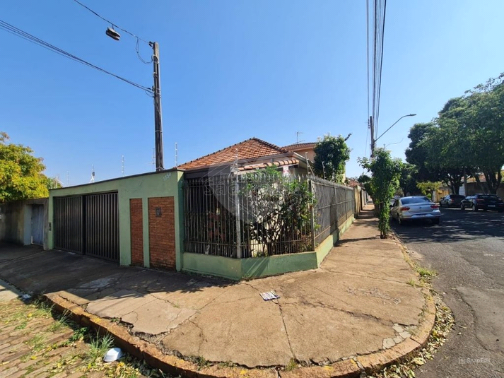 Foto REO1134987
