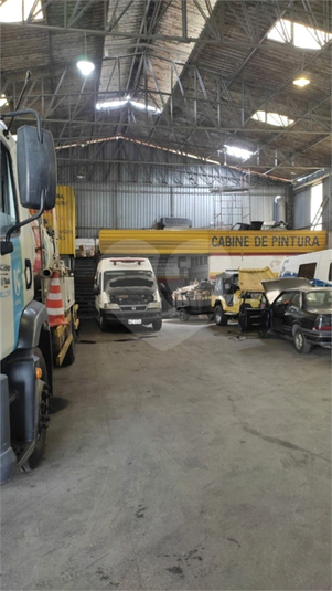 Foto REO1134991