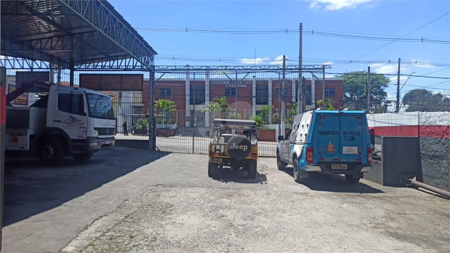 Foto REO1134991